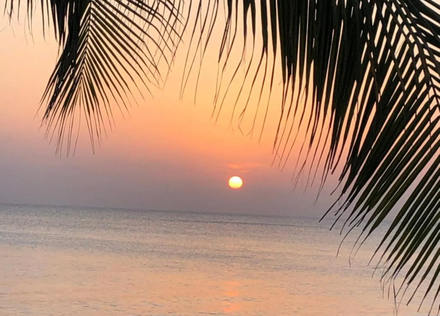 3Bed Oceanview With Pool On Dog City 0*,  جزر كايمان